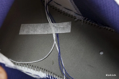 “Covered Jordan Tones” Low 1 Purple 553558-515 0731
